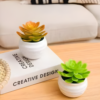 Tiny Succulent Plants with Pots