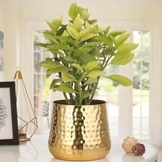 Gold  Metal Planter Pot