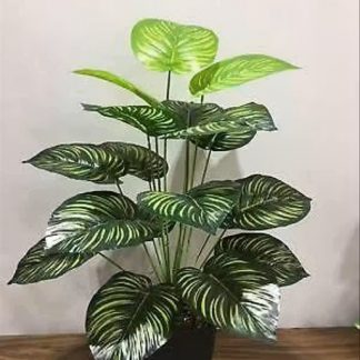 Maniplant Palm Plant