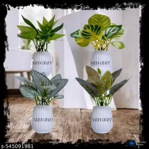 SATAN CRAFT Set And Plant