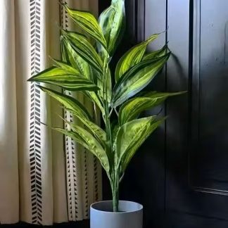 Silk  Croton Plant