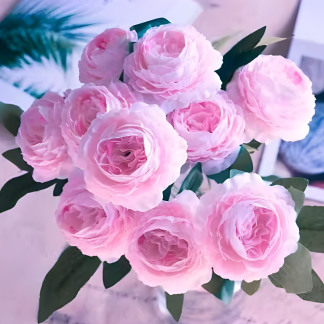peony Roses