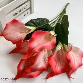 Calla Peace Lily Red