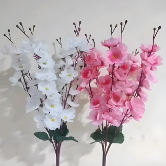 Beautiful Blossom