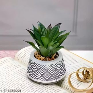 Succulent Plant with Geometric Pattern Ceramic Pot