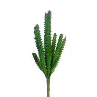 Artificial Small Cactus Plant
