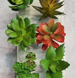 Artificial Succulent Heads Small Mini Plants 6 Pcs