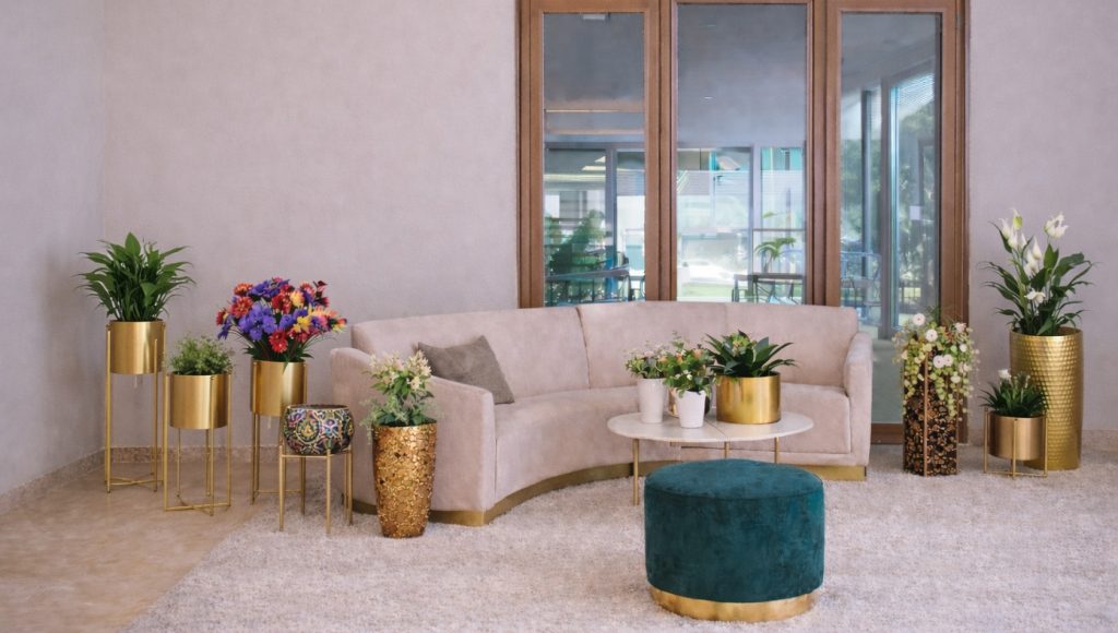 planters-decor-banner01