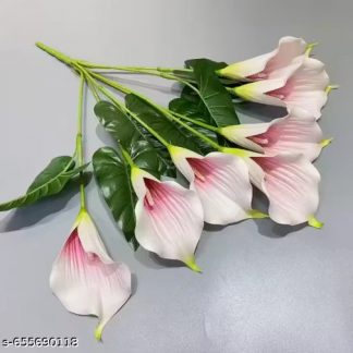 Calla Peace Lily Red