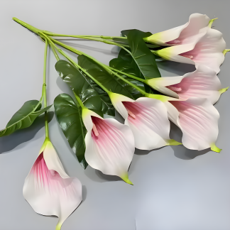 Calla Peace Lily Red